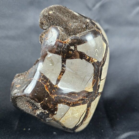 Septarian - Picture 4 of 9